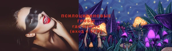 гидра Волосово